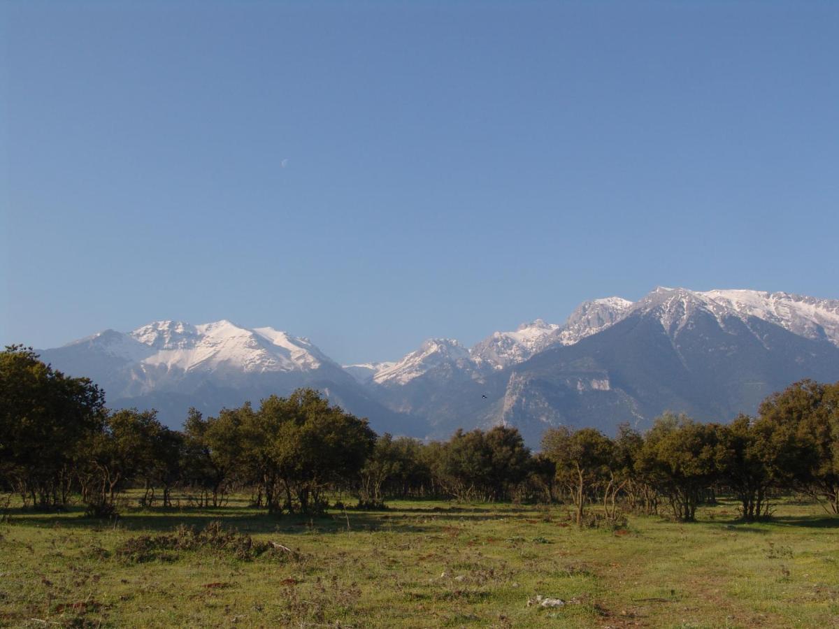 Archontiko Parnassus Dadi Otel Amfikleia Dış mekan fotoğraf